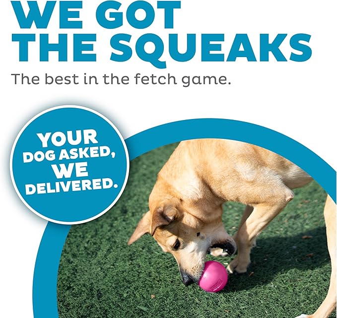 Outward Hound by Planet Dog Squeak Ball Bouncy Fetch Dog Toy, Pink
