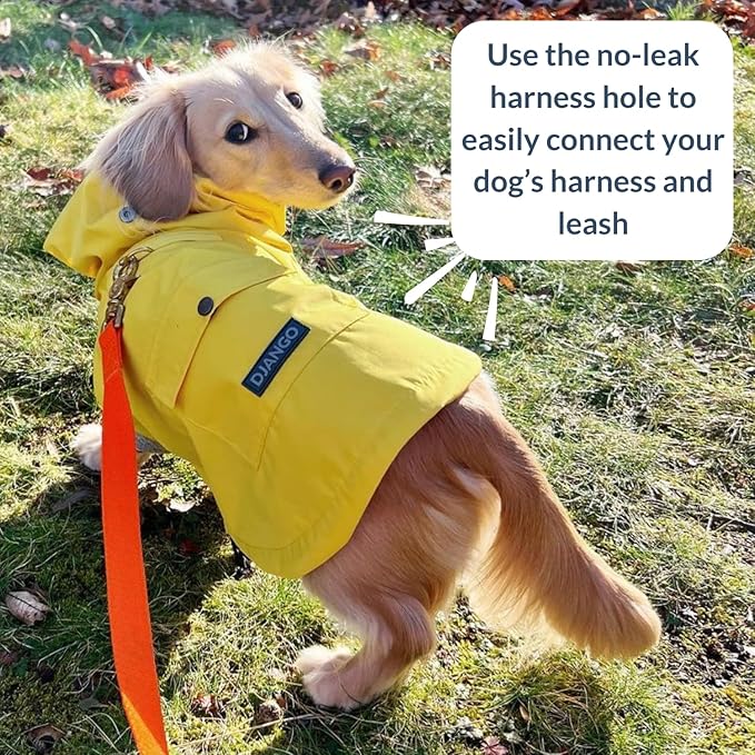 DJANGO Highland Dog Jacket & Raincoat – Water-Repellent, Lined Dog Coat with Hood, Adjustable Fit & Harness Hole – Lightweight Rain & Wind Jacket for Small & Medium Dogs up to 30 lbs (Yellow, Medium)