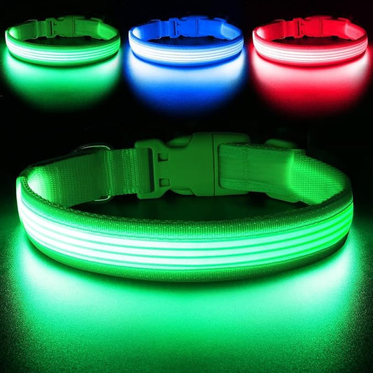 YFbrite Light up Dog Collar, USB Rechargeable LED Puppy Collar Super Bright Adjustable Glowing Dog Lights for Night Walking (Design 2-Green, Large)