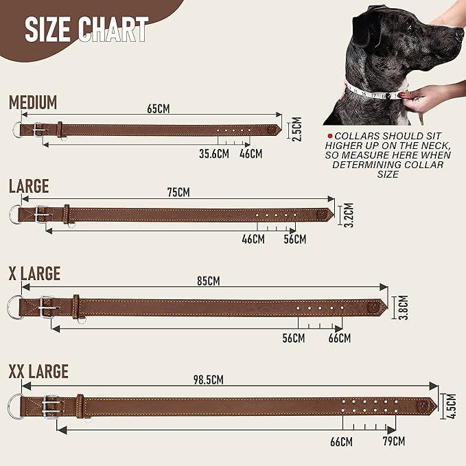 Riparo Dog Collar - Genuine Leather Dog Collars - Heavy Duty Dog Collar for Medium Large and Extra Large Dog Breeds (XL: 1.5” Wide for 22” - 26” Neck, Brown)