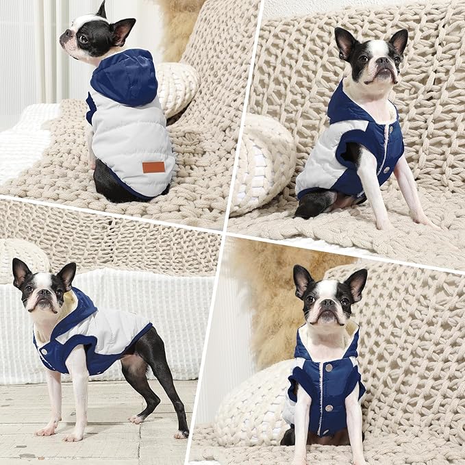 Fleece Lining Extra Warm Dog Hoodie in Winter for Small Dogs Jacket Puppy Coats with Hooded,Beige and Blue M