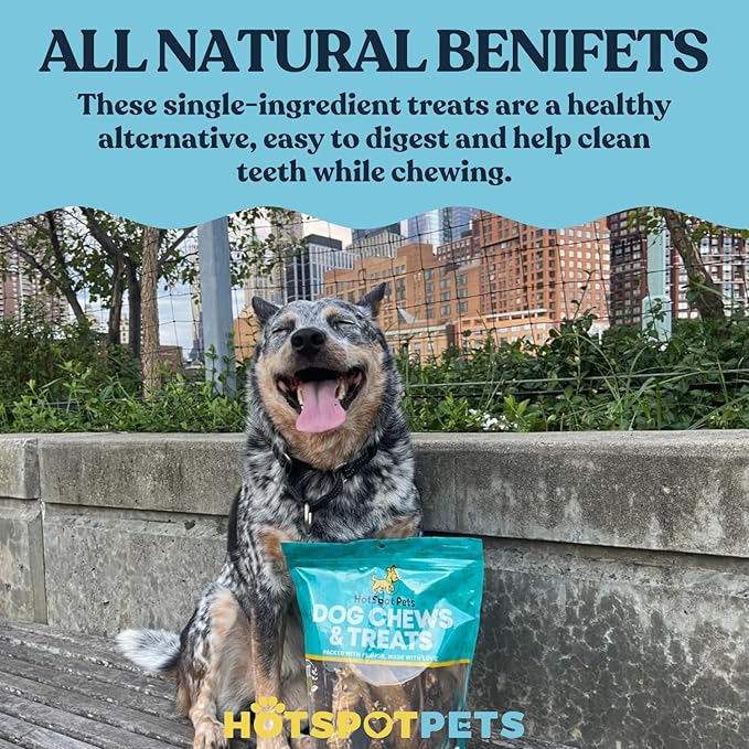 hotspot pets Braided Bully Sticks for Dogs -6 Inch Stix (5 Pack) Premium All Natural Long Lasting Twisted Beef Pizzle Dog Chews -Natural Dental Health, Grain Free, Fully Digestible Rawhide Alternative