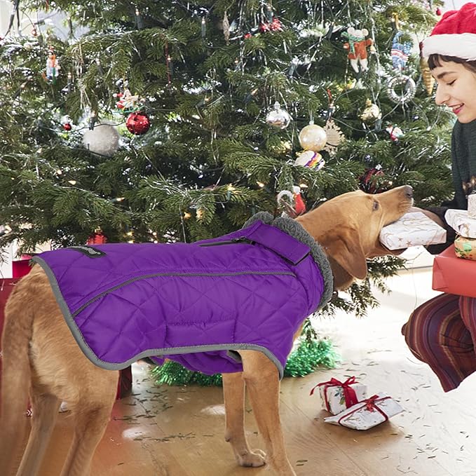 Fragralley Dog Coat Small, Waterproof Dog Jacket with Warm Fleece Lining, Adjustable Reflective Dogs Winter Coat, Turtleneck Pet Coats for Cold Weather (Purple S)