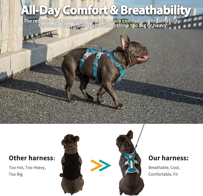 Huntboo Escape Proof Dog Harness, No Pull Reflective Harness with Lift Handle, Adjustable Pet Vest with Front and Back Leash Clips for Small Medium Large Dogs Walking Hiking Training (Teal,XL)