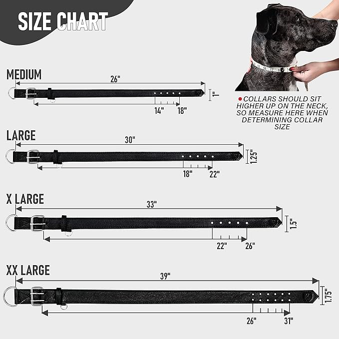 Riparo Dog Collar - Genuine Leather Dog Collars - Heavy Duty Dog Collars for Medium Large and Extra Large Dog Breeds (M: 1” Wide for 14” - 18” Neck, Black)