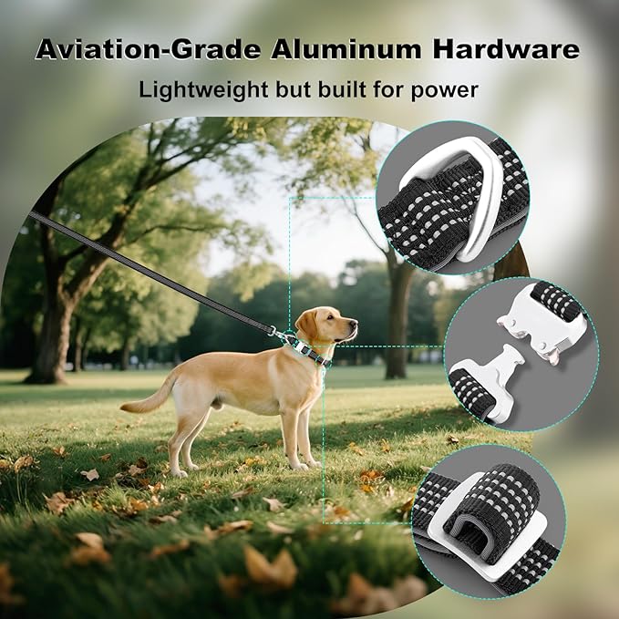 Plutus Pet Reflective Dog Collar with Aviation Aluminum Buckle, Neoprene Padded for Comfort, Lightweight, Heavy Duty Nylon Collar for Puppy Small Medium Large Dogs (Black, M)