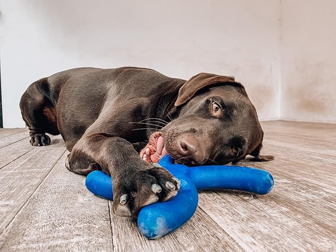 Tuff Pupper SuperChewy Tough Boomerang Toy | Lifetime Replacement | Strong Natural Rubber | Great Dog Fetch Toy | Toys for Dogs | Ultra Durable Chew Toys for Aggressive Chewers | for Large Breeds