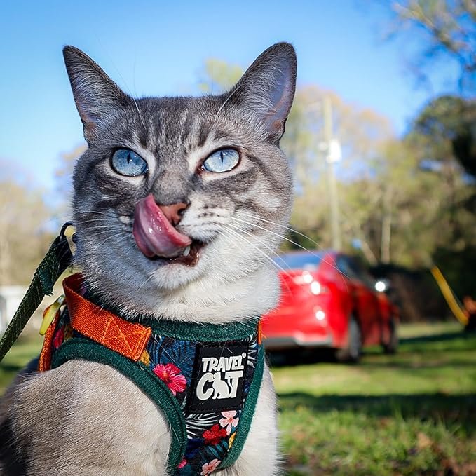 Travel Cat Harness and Leash Set - Adjustable Fit Mesh Cat Harness and Reflective Strap - Comfort Walking Vest for Kitten for Outdoor Walking, Hiking (Small, Hawaiian)
