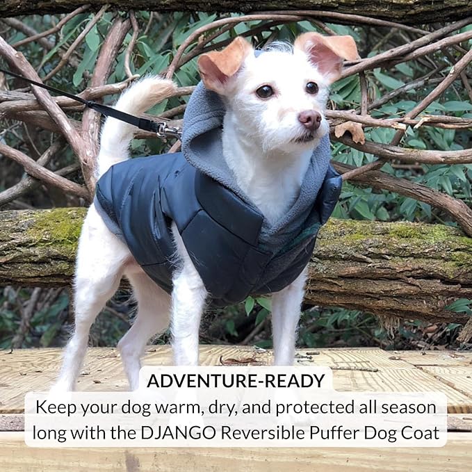 DJANGO Reversible Puffer Dog Coat – Warm Winter Dog Jacket & Water-Repellent Insulated Dog Coat w/Harness Hole, Windproof, Adjustable Fit for Small & Medium Dogs, Dachshunds – Twilight Blue, X-Small