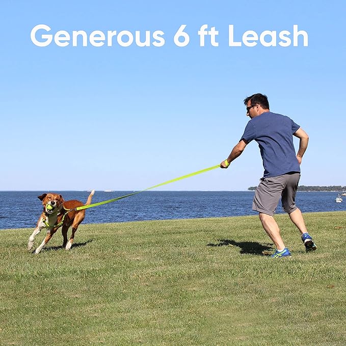 Pawtitas 6 FT Pet Puppy Leash Reflective Dog Leash Comfortable Handle Highly Reflective Threads Heavy Duty Dog Training Leash Available as a 6 ft Medium Dog Leash or Large Dog Leash Green