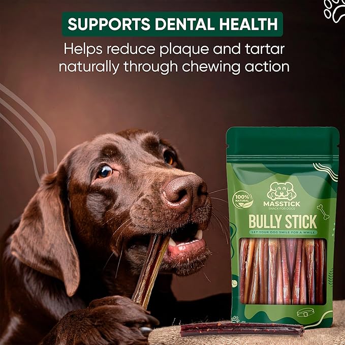 MASSTICK Bully Sticks for Dogs 4 Inch – Extra Thick, Long Lasting, Odor Free Beef Dog Chew Sticks – All Natural, Fully Digestible Treats for Small & Large Dogs – 8oz Bag