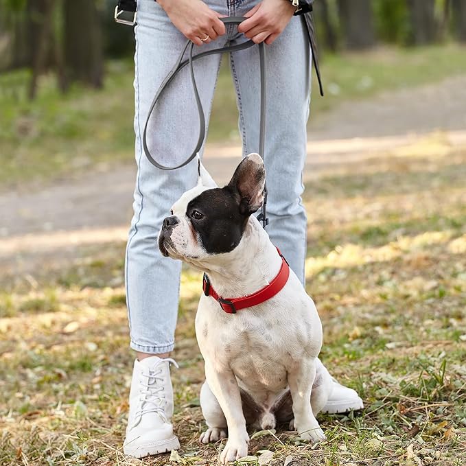 Dogline Biothane Waterproof Dog Leash Strong Coated Nylon Webbing with Black Hardware Odor-Proof Easy to Clean High Performance for Small or Large Dogs Made in USA 4 or 6 ft Lead, Battleship Gray