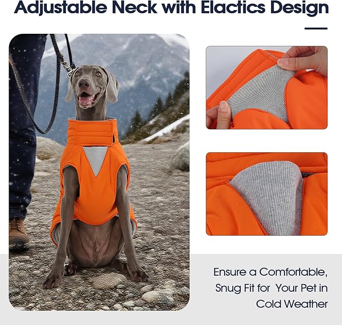 IECOii Warm Dog Jacket - Reflective & Adjustable Winter Vest, Windproof & Waterproof & Warm Fleece Coat for Great Dane, Snow & Rain Walking, Skiing, Orange, Size 5XL
