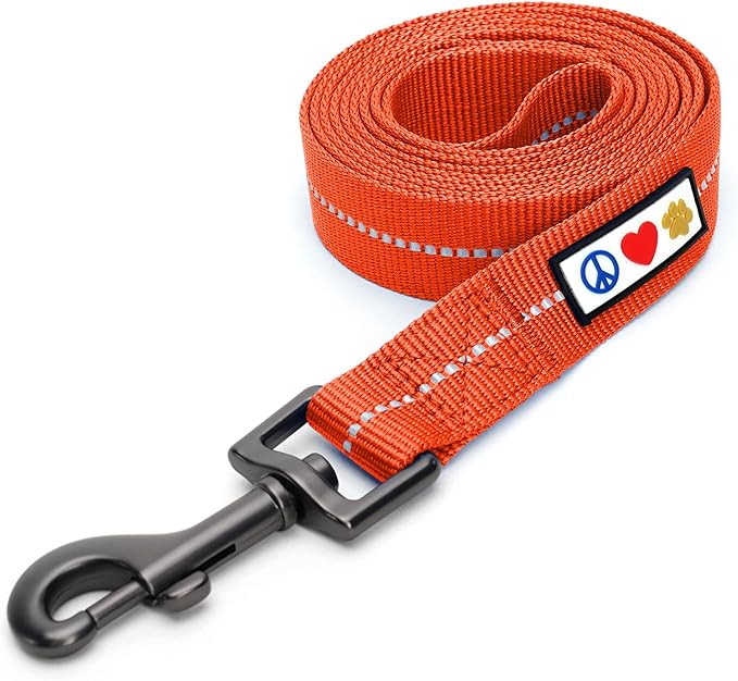 Pawtitas 6 FT Recycled Dog Leash With Reflective Stitched Thread - Small, Made From Plastic Bottles Collected From Oceans - Orange
