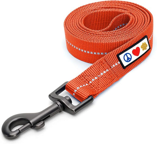 Pawtitas 6 FT Recycled Dog Leash With Reflective Stitched Thread - Small, Made From Plastic Bottles Collected From Oceans - Orange