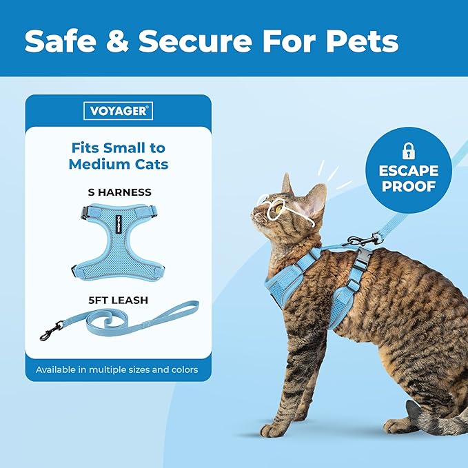 Voyager Escape Proof Cat Harness and Leash Set with Reflective Stitching, Neoprene Handle 5ft - Supports Small, Medium and Large Cats, Kittens for Walking by Best Pet Supplies - Baby Blue, S