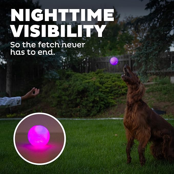 Outward Hound by Planet Dog Strobe Light Up LED Ball Dog Toy, Purple