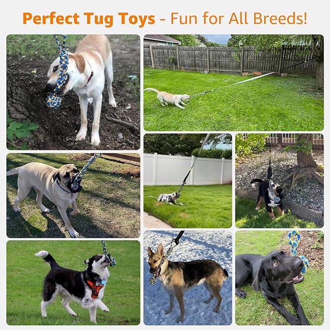 LOOBANI Outdoor Bungee Tug Toy, Dog Toy Hanging from Tree for Small to Large Dogs, Interactive Exercise Play Cord & Tether with Chew Rope Toy (Tree Stump Tug of War-Green)