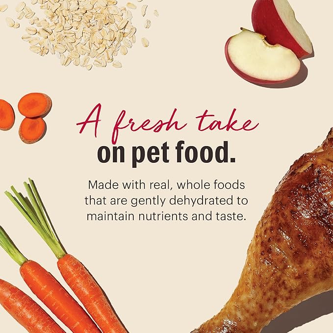 The Honest Kitchen Wholemade™ Whole Grain Turkey Dog Food, 2 lb Bag