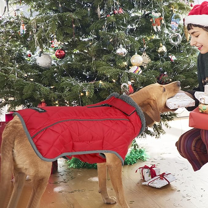 Fragralley Dog Coat Large, Waterproof Dog Jacket with Warm Fleece Lining, Adjustable Reflective Dogs Winter Coat, Turtleneck Pet Coats for Cold Weather (Red,L)