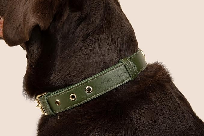 Two Tails Pet Company Cactus Vegan Leather Dog Collar, Adjustable Pet Collar with Gold Hardware and D Rings for Leash and ID Tag for Dogs and Puppies, Easy to Clean & Eco Friendly, Green, Size Large