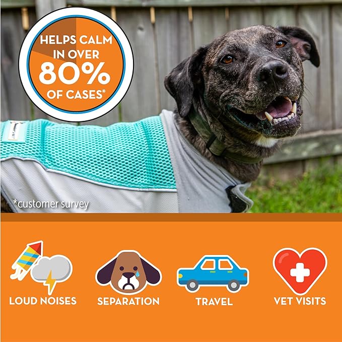 ThunderShirt Breeze for Dogs, Small, Aqua, Extra Breathable Mesh Fabric, Dog Anxiety Relief Vest for Every Day Stress & Calming During Thunder Storms and Fireworks