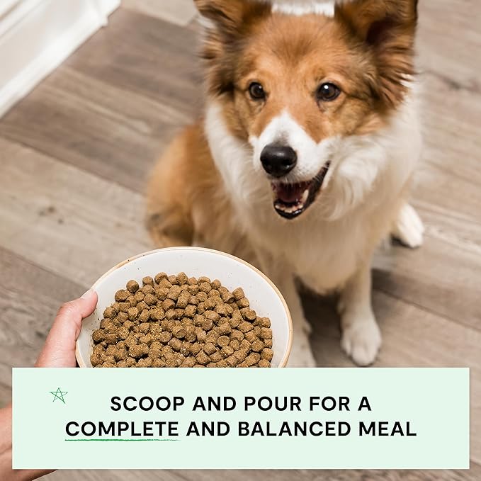 Open Farm, Grain-Free Dry Dog Food, Complete & Balanced Kibble, Sustainably & Ethically Sourced Ingredients, Non-GMO Veggies & Superfoods to Support Overall Health, Pork Recipe, 4lb Bag