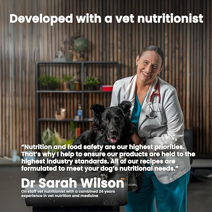 The Pets Table Salmon & Whitefish with Pumpkin Grain Free Air Dried Dog Food, 1 lb / 16 oz Bag
