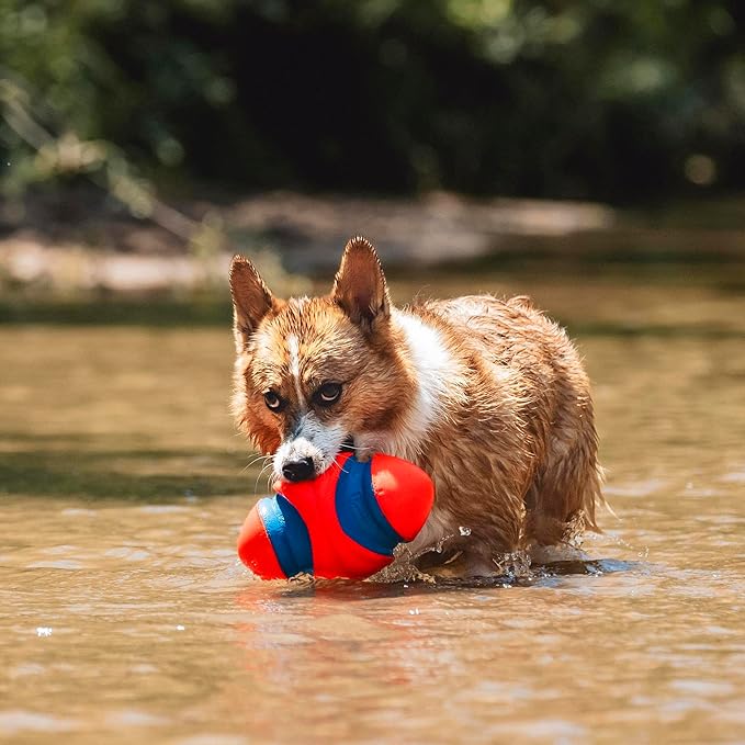 Chuckit! Fumble Fetch Dog Football - Outdoor and Indoor Interactive Dog Toy with Grooved Design for Easy Pickup - Made from Durable Rubber - Floats in Water - Small - Orange and Blue