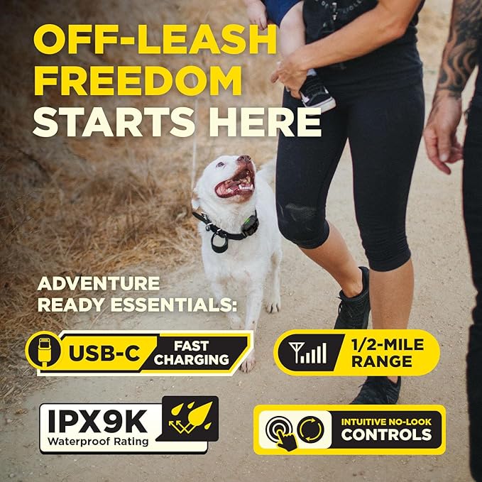 Dogtra 200iQ Remote Training E Collar – 100 Levels, Tone, Vibration, 1/2 Mile Range – Compact, Waterproof, One-Handed Control for Dogs 10 lbs+ – Lightweight Design for Daily Training – Black Leopard