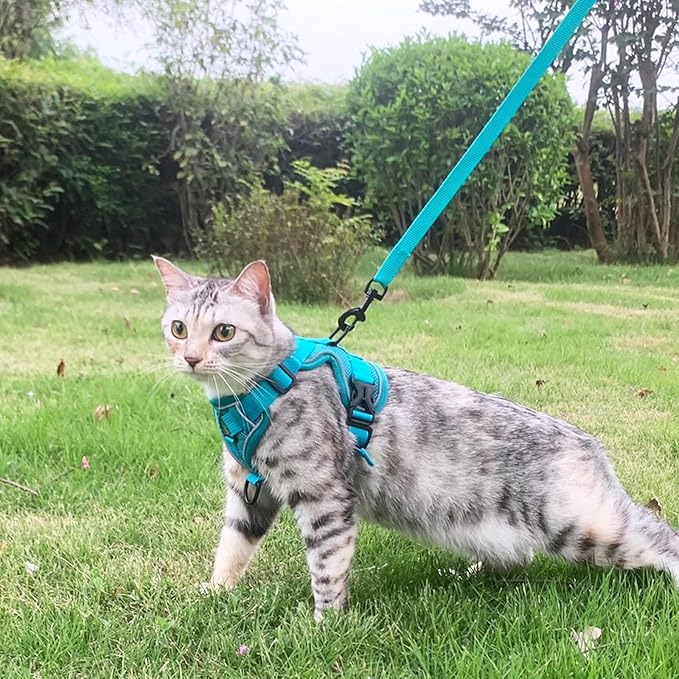 Cat Harness and Leash Set Escape Proof Tactical Medium Kitten Harness Emotional Support Cat Vest, Turquoise, M