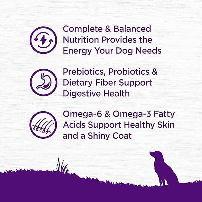 Wellness Complete Health Dry Dog Food with Grains, Natural Ingredients, Made in USA with Real Meat, All Breeds, For Adult Dogs (Whitefish & Sweet Potato, 30-Pound Bag)