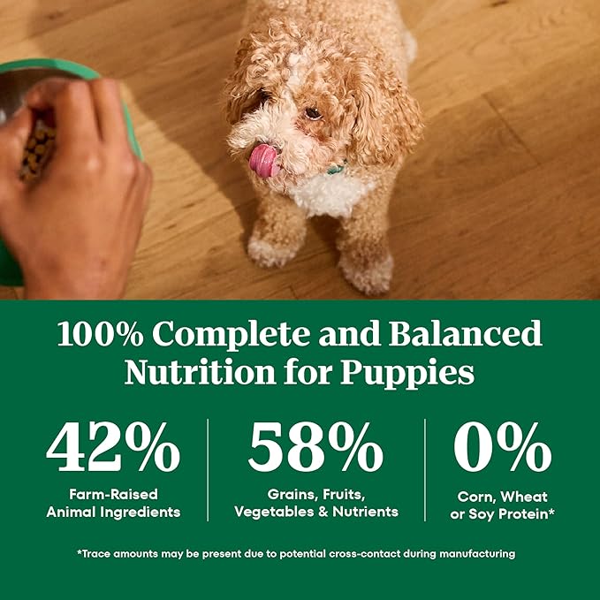 Nutro Natural Choice Chicken & Brown Rice Large Breed Puppy Food Dry Recipe, 30 lb. Bag