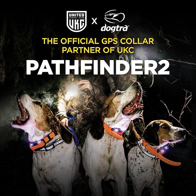 Dogtra Pathfinder 2 GPS Tracker e Collar + Titanium Contact Points 1" | 9 Mile, LED Light, No Monthly Fees, Waterproof, Smartwatch Control, Satellite Tracking, Multiple Dogs, Smartphone Required