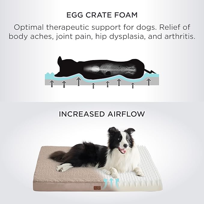 Bedsure Dog Beds Large Sized Dog - Comfy Flat Pet Beds with Removable Washable Cover, Orthopedic Egg Crate Foam Puppy Mat, Suitable for Pet Up to 65 lbs