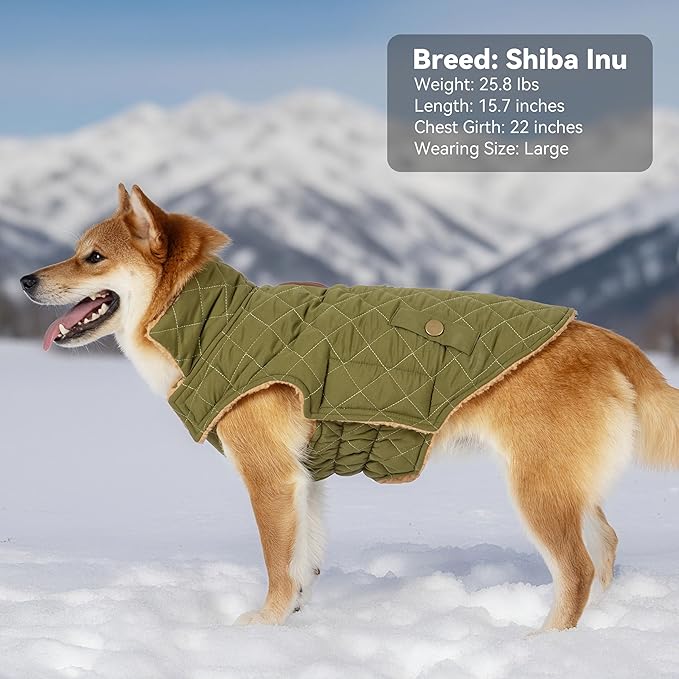 Dog Coat, Warm Windproof Dog Coats for Large Dogs Boy, Waterproof Pet Winter Jacket, Cold Weather Clothes Dogs Snowsuit with Leash Hole, Green XXX-Large
