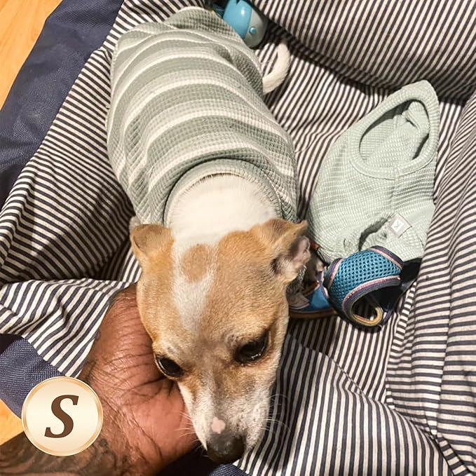 KYEESE 2Pack Dog Shirts Waffle for Small Dogs Stretchy T-Shirts Lightweight Tank Top Sleeveless Vest Breathable Cat Tee, Small, Green+Grey