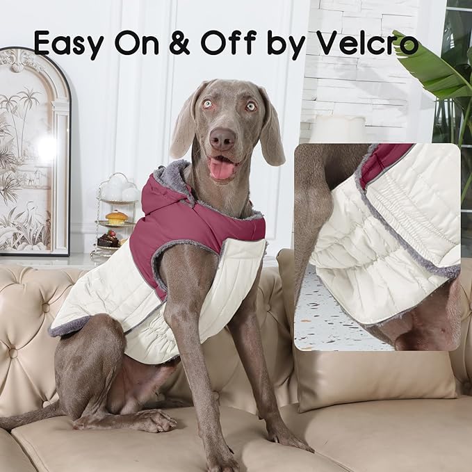 Detachable Hooded Dog Coat with Harness for Small Dogs,Super Warm Fleece Puppy Jacket for Cold Winter Doggie Coats,Red XS