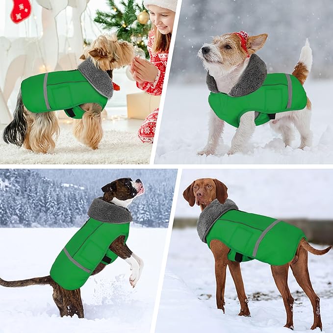 Dogcheer Warm Dog Coat, Waterproof Dog Jacket Christmas Puppy Winter Coat with Buckle, Reflective Adjustable Pet Snow Jacket Turtleneck Fleece Sweater for Small Medium Large Dogs - Green, S