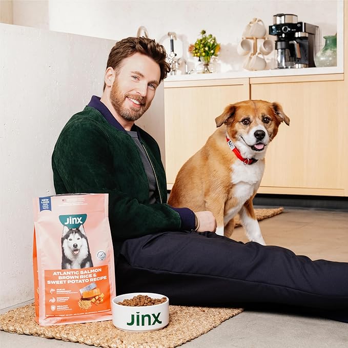 Jinx Premium Grain-Free Dry Dog Food, for All Lifestages - Grass-Fed Lamb, Sweet Potato & Carrot Dog Food with Superfoods for Immune Support & Probiotics for Digestive Support - No Fillers - 11.5lb