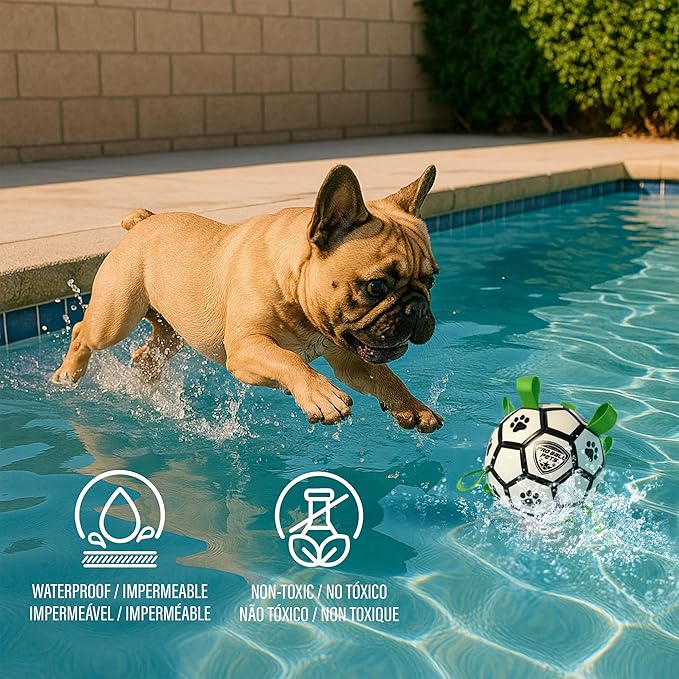ProBall Pets Interactive Dog Soccer Ball with Grab Tabs - Floats on Water, Fetch & Training Toy for Medium Dogs, Herding Breeds - Waterproof Non-Toxic - 7" White Green