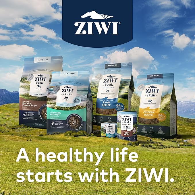 ZIWI Peak Wet Cat Food – All Natural, High Protein, Grain Free, Limited Ingredient, with Superfoods (Chicken, Case of 12, 6.5oz Cans)