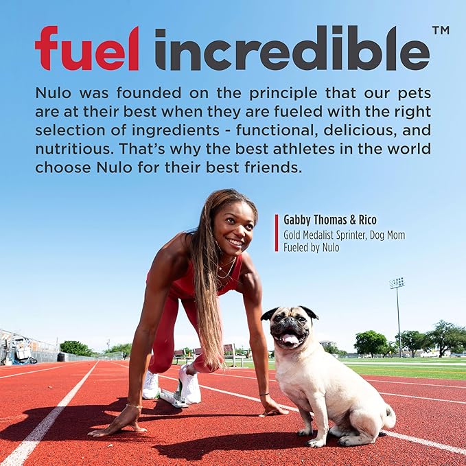 Nulo Frontrunner Ancient Grains High-Protein Dog Food, Pork, Barley, & Beef Recipe- Natural Dry Dog Food with Probiotics, Grain-Inclusive Kibble for Adult Dogs, 25 lb Bag