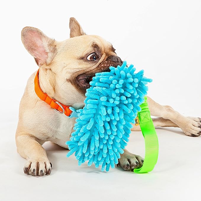 Dingo Dog Tug of War Toy - Outdoor Dog Toy with Bungee for Training, Shaggy Dog Toy, Soft Nubby-Textured, Noodle Plush with, Motivation and Fun, 15575, Assorted Colors
