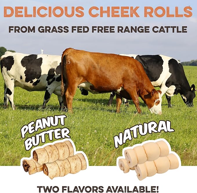 Premium Beef Cheek Rolls for Dogs 10-12" - (10-Pack) Long Lasting, Safe & Natural Rawhide Alternative Chews, Ideal for Large Dogs & Aggressive Chewers, Supports Dental Health & Digestion