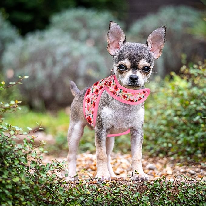 Mile High Life Dog Harness, Air Mesh Floral Vest Harness for 20 lbs Small Dogs & Cats, Easy Get on Adjustable Easy Closures Both Neck and Chest(Lily, XS Chest 14"-16")