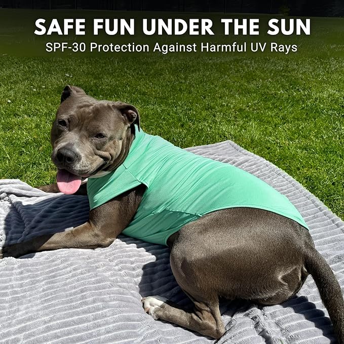 Spark Paws Sunblock Dog T-Shirt, SPF30 Protection, Lightweight Breathable Quick Dry for Dogs with Sensitive Skin - Peach & Mint (Set of 2) - M