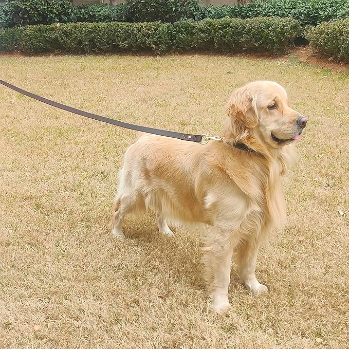 Leather Dog Leash 6 ft x 3/4 inch,Strong and Soft Heavy Duty Genuine Leather Dog Leash for Large, Medium, Small Dogs Premium Leather Leash for Dogs