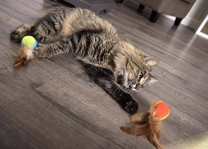 SmartyKat Flutter Balls Catnip Plush and Feather Cat Toys, Erratic Motion for Batting & Pouncing Fun for Cats & Kittens, Set of 2