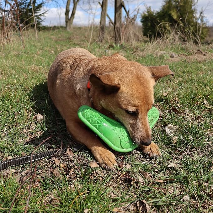 Dingo Toy for Dog, Durable TPR Rubber for chewers, Fetch Toy for Play, Boomerang 9.1", 17395 (Bommerang)